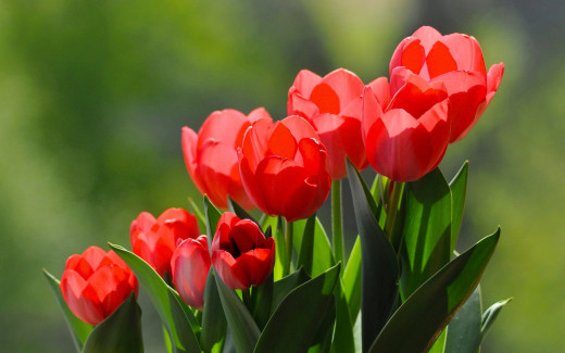 1058861 (a): :2560x1600